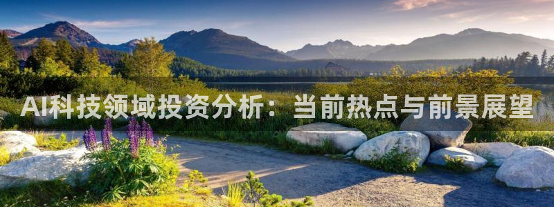AI科技领域投资分析：当前热点与前景展望