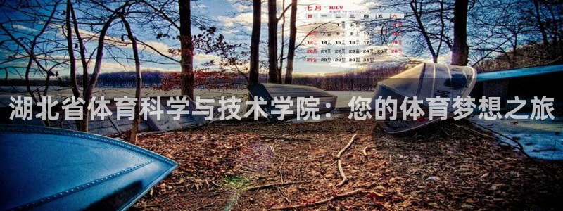 湖北省体育科学与技术学院：您的体育梦想之旅