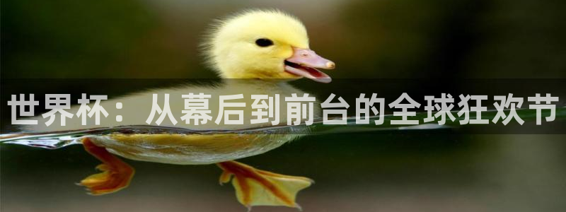 世界杯：从幕后到前台的全球狂欢节