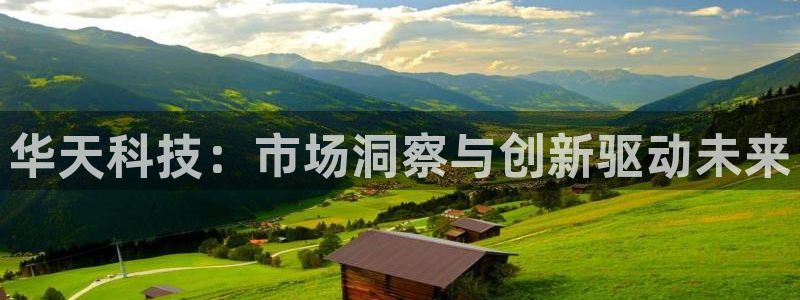 华天科技：市场洞察与创新驱动未来