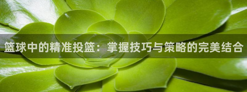 篮球中的精准投篮：掌握技巧与策略的完美结合