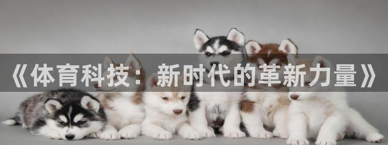 《体育科技：新时代的革新力量》