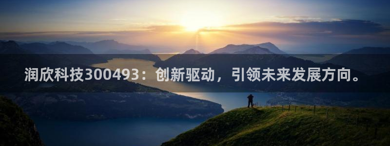 润欣科技300493：创新驱动，引领未来发展方向。
