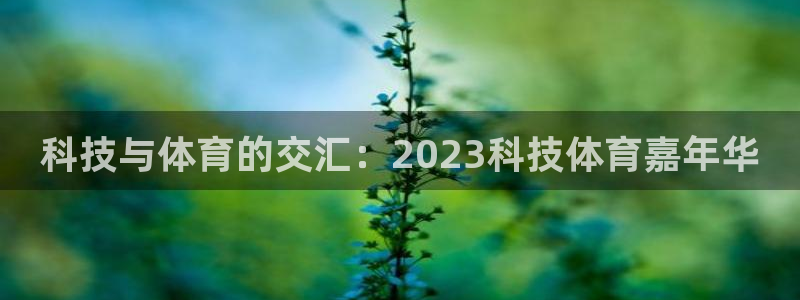 科技与体育的交汇：2023科技体育嘉年华