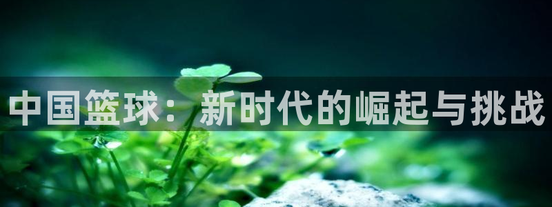 中国篮球：新时代的崛起与挑战