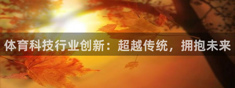 体育科技行业创新：超越传统，拥抱未来