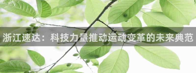 浙江速达：科技力量推动运动变革的未来典范
