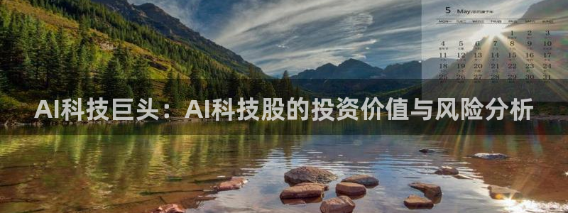 AI科技巨头：AI科技股的投资价值与风险分析