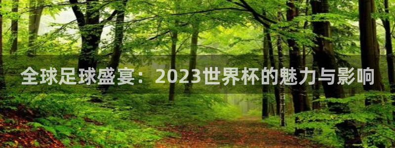 全球足球盛宴：2023世界杯的魅力与影响