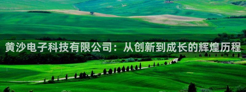 黄沙电子科技有限公司：从创新到成长的辉煌历程