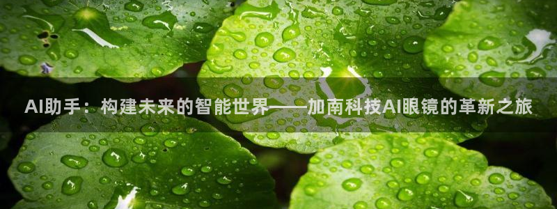 AI助手：构建未来的智能世界——加南科技AI眼镜的革新之旅