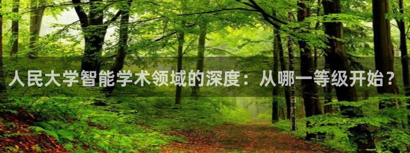 人民大学智能学术领域的深度：从哪一等级开始？