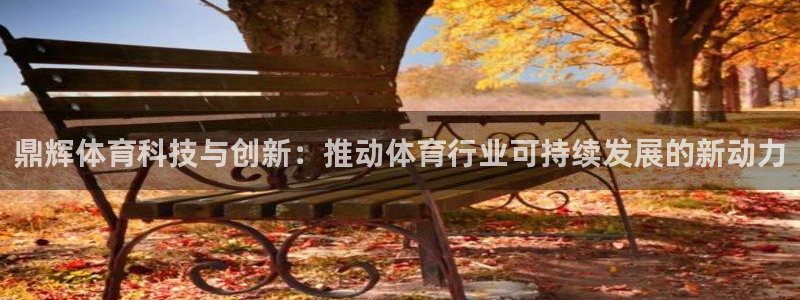 鼎辉体育科技与创新：推动体育行业可持续发展的新动力