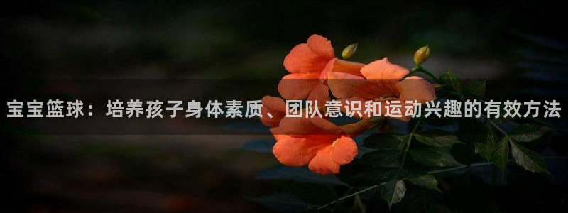 宝宝篮球：培养孩子身体素质、团队意识和运动兴趣的有效方法