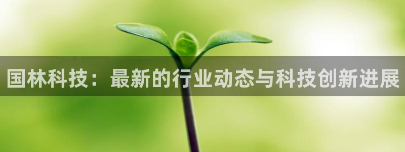 国林科技：最新的行业动态与科技创新进展