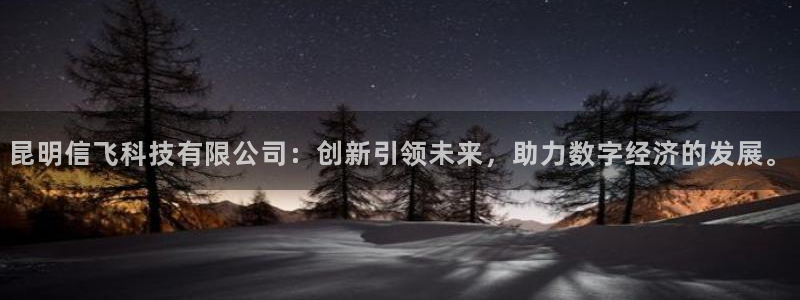 昆明信飞科技有限公司：创新引领未来，助力数字经济的发展。