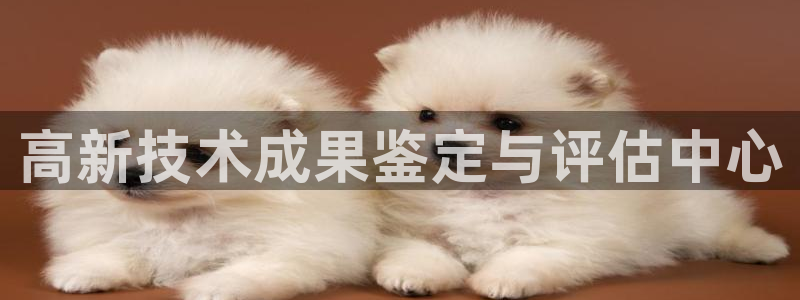 高新技术成果鉴定与评估中心