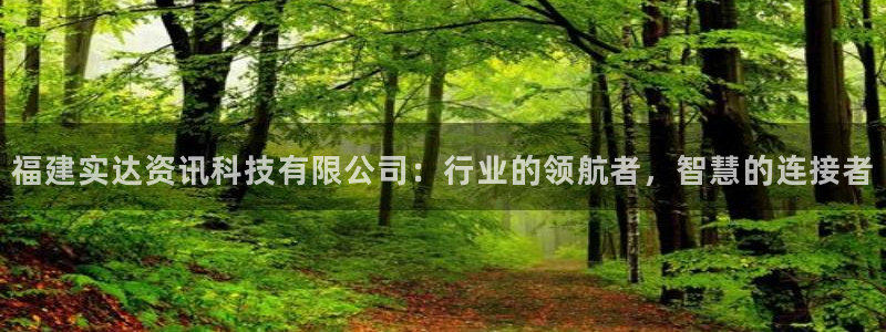 福建实达资讯科技有限公司：行业的领航者，智慧的连接者