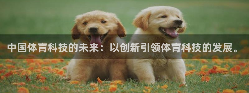 中国体育科技的未来：以创新引领体育科技的发展。