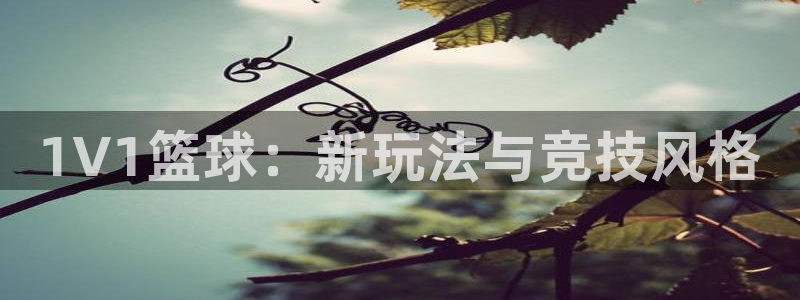 1V1篮球：新玩法与竞技风格