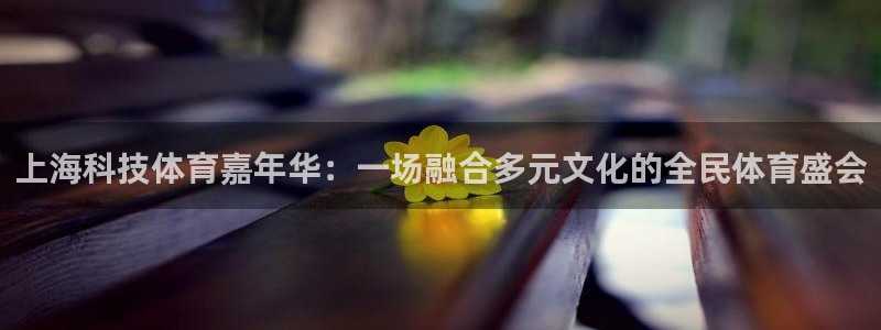 上海科技体育嘉年华：一场融合多元文化的全民体育盛会