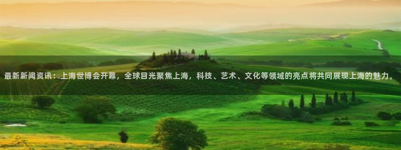最新新闻资讯：上海世博会开幕，全球目光聚焦上海，科技、艺术、文化等领域的亮点将共