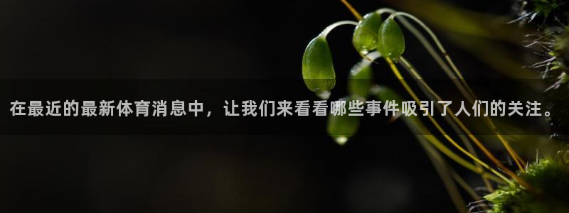 在最近的最新体育消息中，让我们来看看哪些事件吸引了人们的关注。