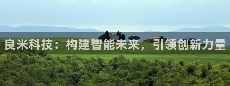 良米科技：构建智能未来，引领创新力量