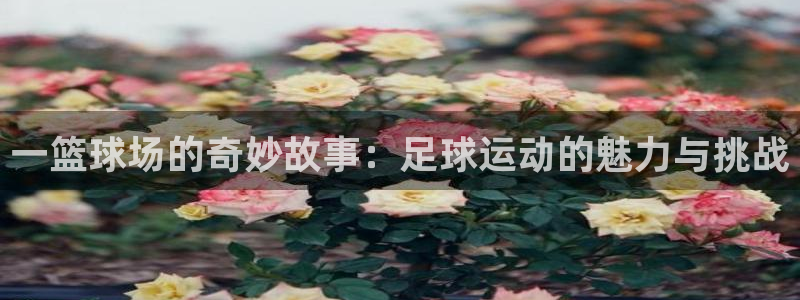 一篮球场的奇妙故事：足球运动的魅力与挑战