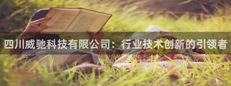 四川威驰科技有限公司：行业技术创新的引领者