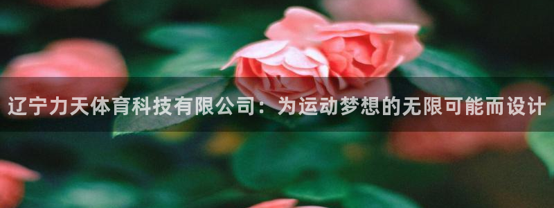 辽宁力天体育科技有限公司：为运动梦想的无限可能而设计