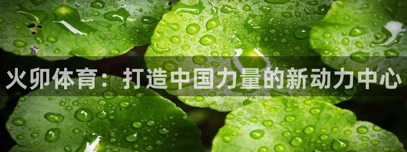 火卯体育：打造中国力量的新动力中心