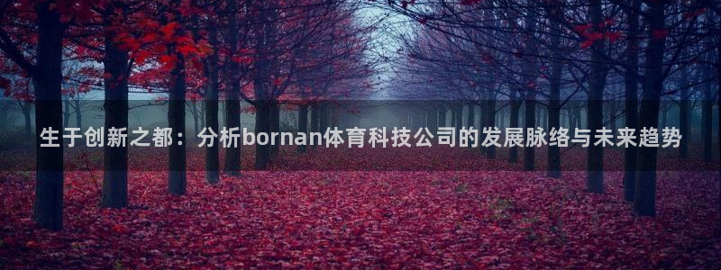 生于创新之都：分析bornan体育科技公司的发展脉络与未来趋势