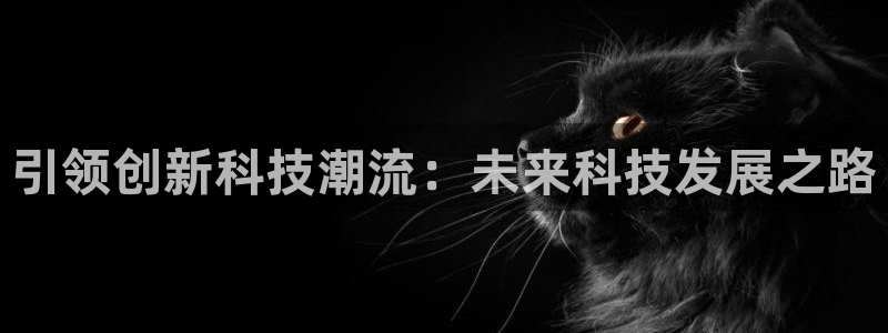 引领创新科技潮流：未来科技发展之路