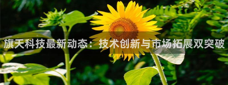 旗天科技最新动态：技术创新与市场拓展双突破