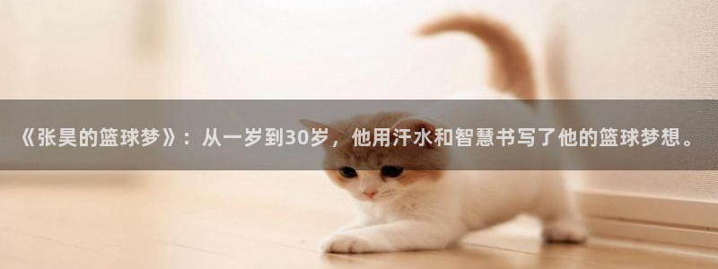 《张昊的篮球梦》：从一岁到30岁，他用汗水和智慧书写了他的篮球梦想。