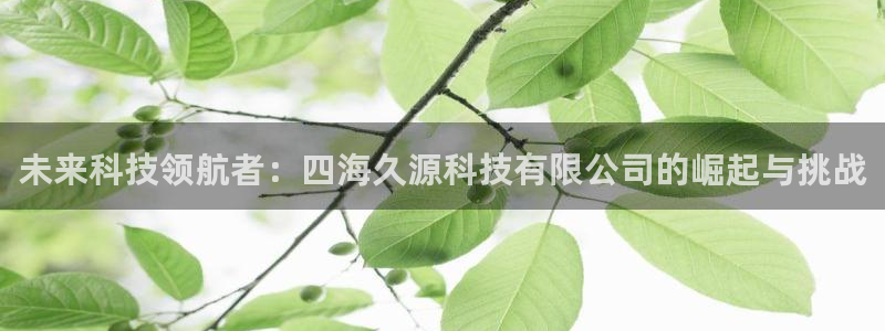 未来科技领航者：四海久源科技有限公司的崛起与挑战