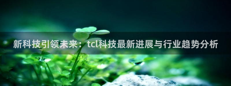 新科技引领未来：tcl科技最新进展与行业趋势分析
