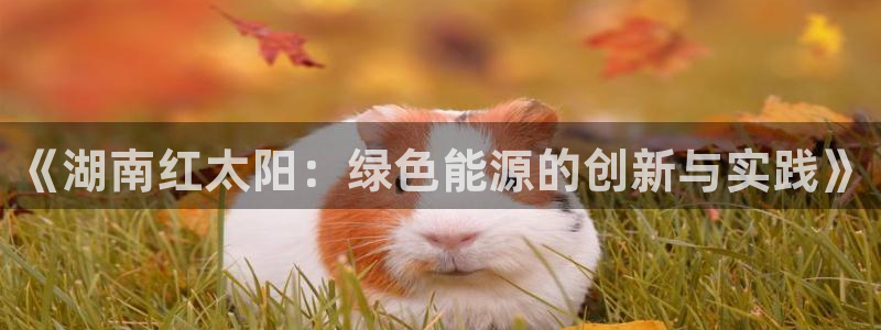 《湖南红太阳：绿色能源的创新与实践》