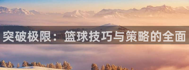 突破极限：篮球技巧与策略的全面