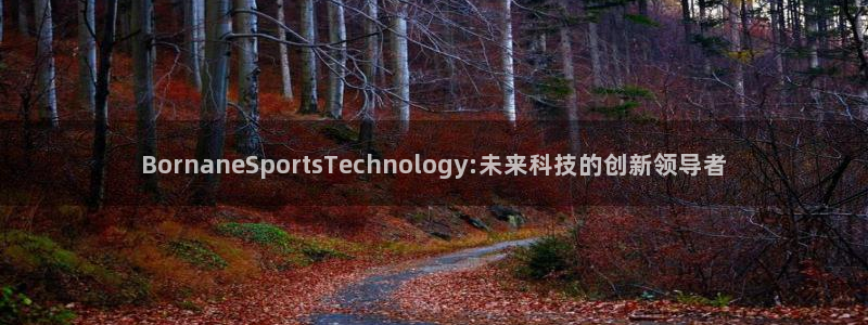 BornaneSportsTechnology:未来科技的创新领导者