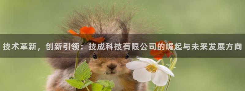 技术革新，创新引领：技成科技有限公司的崛起与未来发展方向