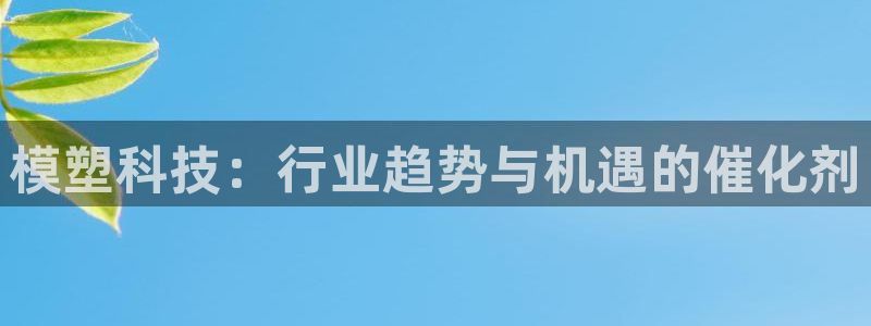 模塑科技：行业趋势与机遇的催化剂