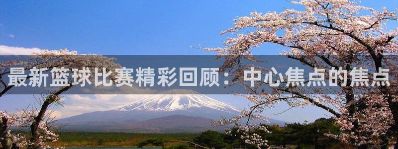 最新篮球比赛精彩回顾：中心焦点的焦点